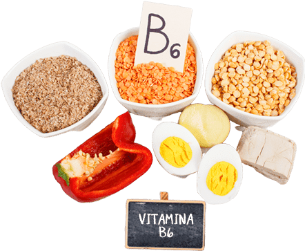 zen-caps-possui-vitamina-b6.png